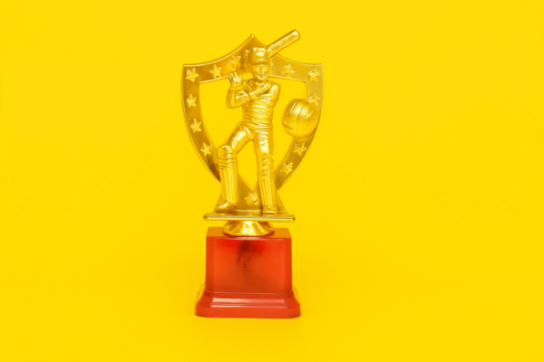 Cricket Sports Trophy (20 CM)